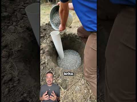 Como plantar muda de arvores frutiferas! #shorts #plantas #frutas