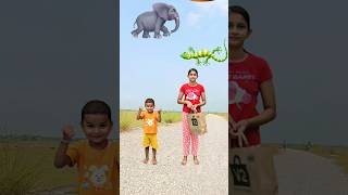 Flying crying babies catching vs lizard, bee vs elephant, rabbit & dog - Funny vfx magic