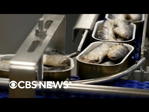 YouTube video thumbnail: Tinned Fish Finds a new Audience in Porto