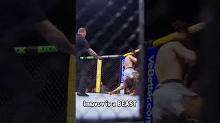 When Israel Adesanya Got Knocked Out COLD #imavov #israeladesanya #ufc
