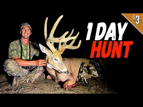 Spot & Stalk Velvet Buck I Early Season Bowhunt INSANITY