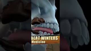 1000 ways to die. #newepisode #subscribe #viralvideo