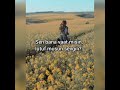 Narrative Reflections and Emotional States