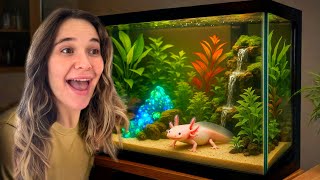 I Built the ULTIMATE Axolotl Tank! (Part 2)