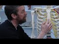 Classification of Human Bones