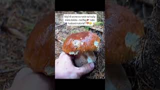 Rande na houbách ? Red flag nebo topové rande? 🤔🍄‍🟫 #mushroom #houby #czech #czechrepublic #funny