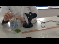 Photosynthesis Experiment Analysis