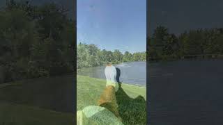 Audiobook and walk #bookrecommendations #booktok #audiobook #walking