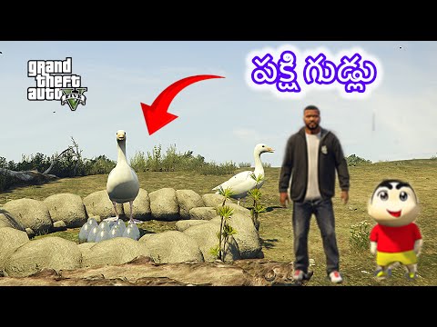 GTA5 City Loki Pedda Pakshi Vachindi#gta #gaming #shortvideo #funny