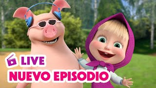 🔴 EN VIVO Masha y el Oso Castellano 🐻 NUEVO EPISODIO 🌟 Mi cuchi-cuchi 🥰🦔