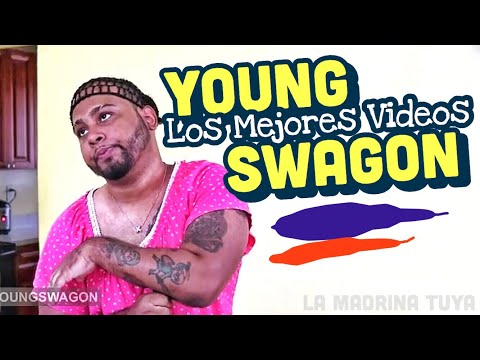 Lo Mejor De Young Swagon #16 | Videos De Risa
