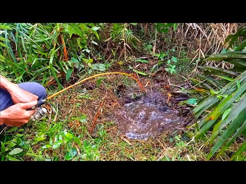 PEMANCING IKAN LEMBAT | MANCING IKAN LEMBAT HITAM | fishing 2024