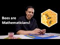 Shapes and Honeycomb Structures