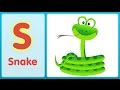 Animal Sounds and Characteristics