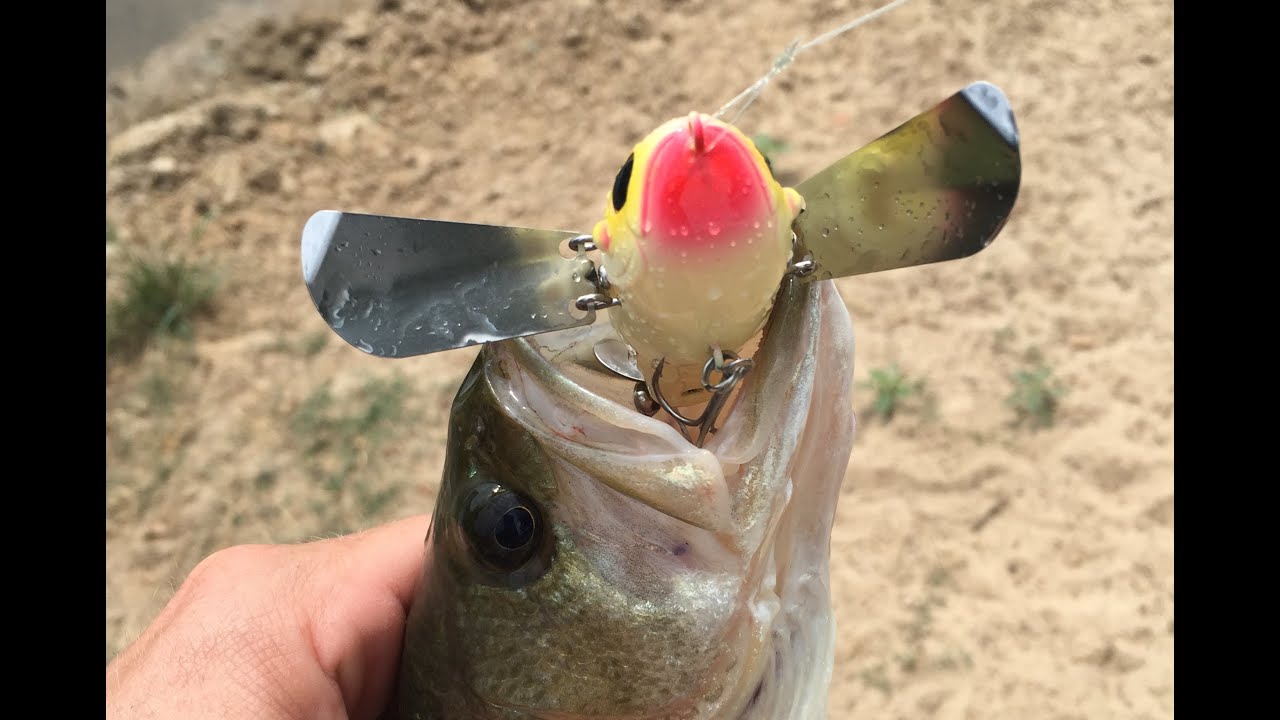 Noisy Topwater Lure Test #99