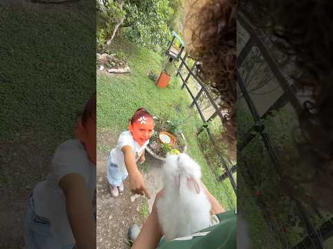 Perdí el conejo de Julieta!!😭😡👧🏻