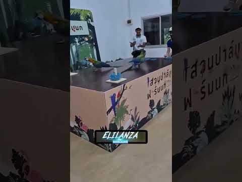 Estuvo reñida esa competencia #viralvideo #humor #doblaje #funny