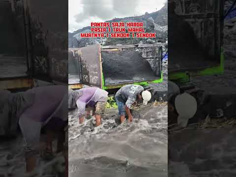 Harga 1 Rit Pasir Tembus 3 jeti #automobile #alatberatterbesar #excavator #alatberat #sopiroleng