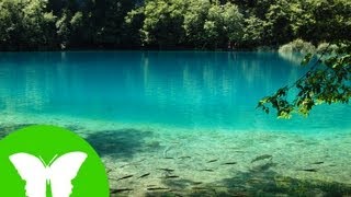 El agua en la naturaleza