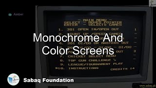 Monochrome And Color Screens