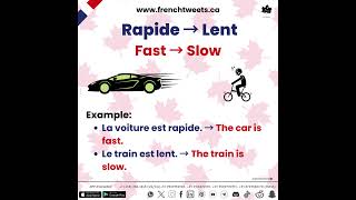 🇫🇷 Opposites make French twice as easy! 🔄✨How many French adjective pairs do you know? 👀