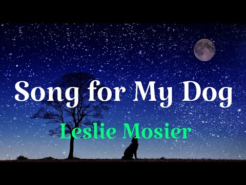 Song for My Dog
