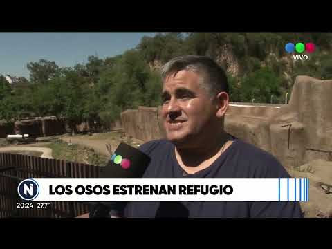 Los osos estrenan refugio