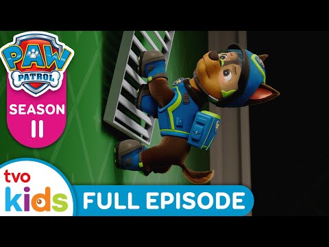 🐶 Pups Save The Missing Bone-Stone 🦴 PAW PATROL - FULL EPISODE ✨ NEW Season 11✨ | TVOkids