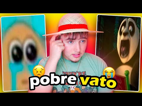 MIS AMIGOS ODIAN AL PANZAS... 😡🫢