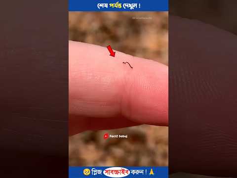 Building Wooden Log Cabin in Forest 🎈🌲| Survival House Step by Step "8#shorts #amazingfacts #facts