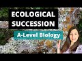 Exploring Primary and Secondary Ecological Succession