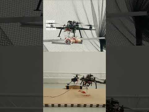 Швейцарский дрон цепляется за деревья за 200 миллисекунд #инновации #технологии #short