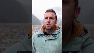 Bosnia's Drina River choked by trash year after year | DW News