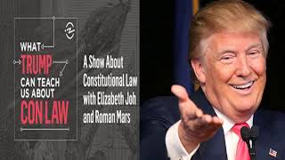 GOVERNMENT & ORGANIZATIONS- Ep.# 27- Treason