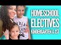 Homeschooling Curriculum Overview and Insights