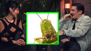 Yeonmi Park ranks her favourite insects