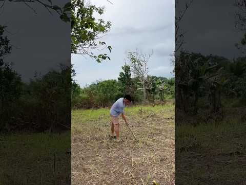 Cuma beda tempat aja kok #shortvideo