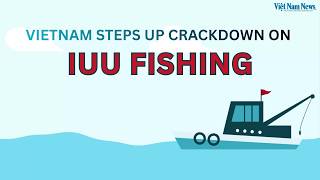 Vietnam steps up crackdown on IUU fishing | Việt Nam nỗ lực gỡ "thẻ vàng" IUU