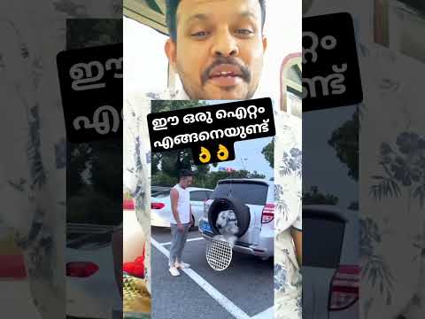 പട്ടി കൂട്‌ 👌👌#short #shorts #shortvideo #dog #dogshorts
