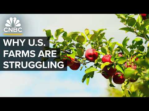 Why The U.S. Isn’t Growing Enough Food