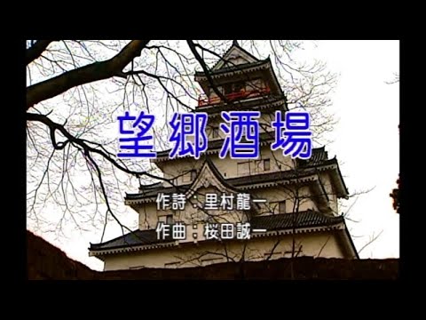 豪客之星 – 日本演歌精選 日本四季風景區 08 -望鄉酒場