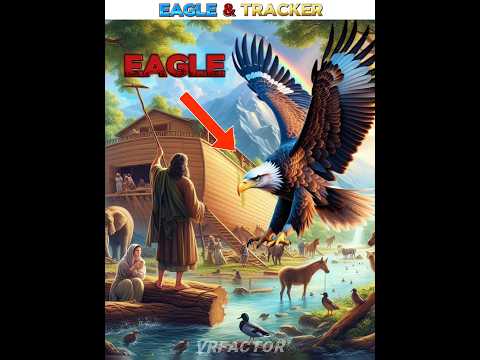 Eagle GPS tracker #trending #shorts #shortsviral #shortsvideo#viralvideos #trendingviral #viralstori