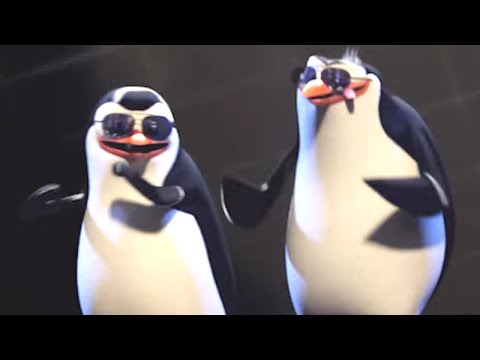 DreamWorks Madagascar | Penguins of Madagascar: Pitbull - Celebrate Music Video | Kids Movies