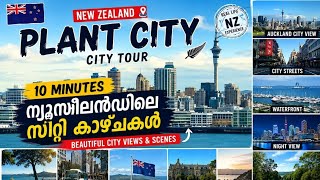 ന്യൂസിലാൻഡിലെ മനോഹരമായ സിറ്റി കാഴ്ചകൾ | New Zealand City 2026 |  Beautiful City Life