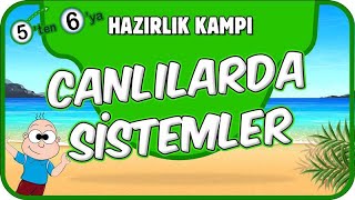 Canlılarda Sistemler 📗 5'ten 6'ya Hazırlık Kampı #2025