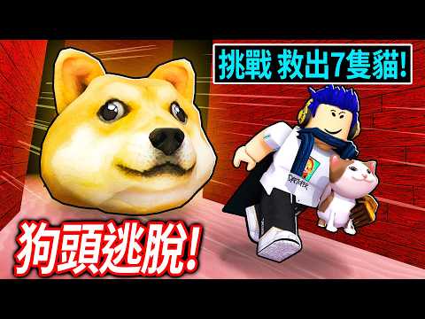 ROBLOX 巨大狗頭逃脫！我的貓貓被抓走了！你可以找到+救出所有小貓嗎?!【Doge Head Escape - 有感筆電】