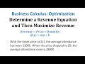 Maximizing Revenue from Ticket Sales