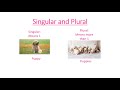 Understanding Plural Nouns
