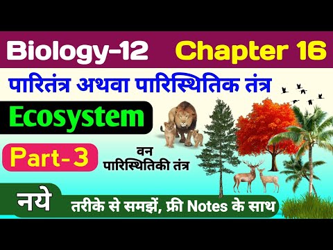 Biology class 12 chapter 16 | ecosystem in hindi | paritantra class 12th biology | वन पारितंत्र