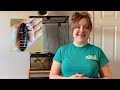 Cockroach Biology and Ecology